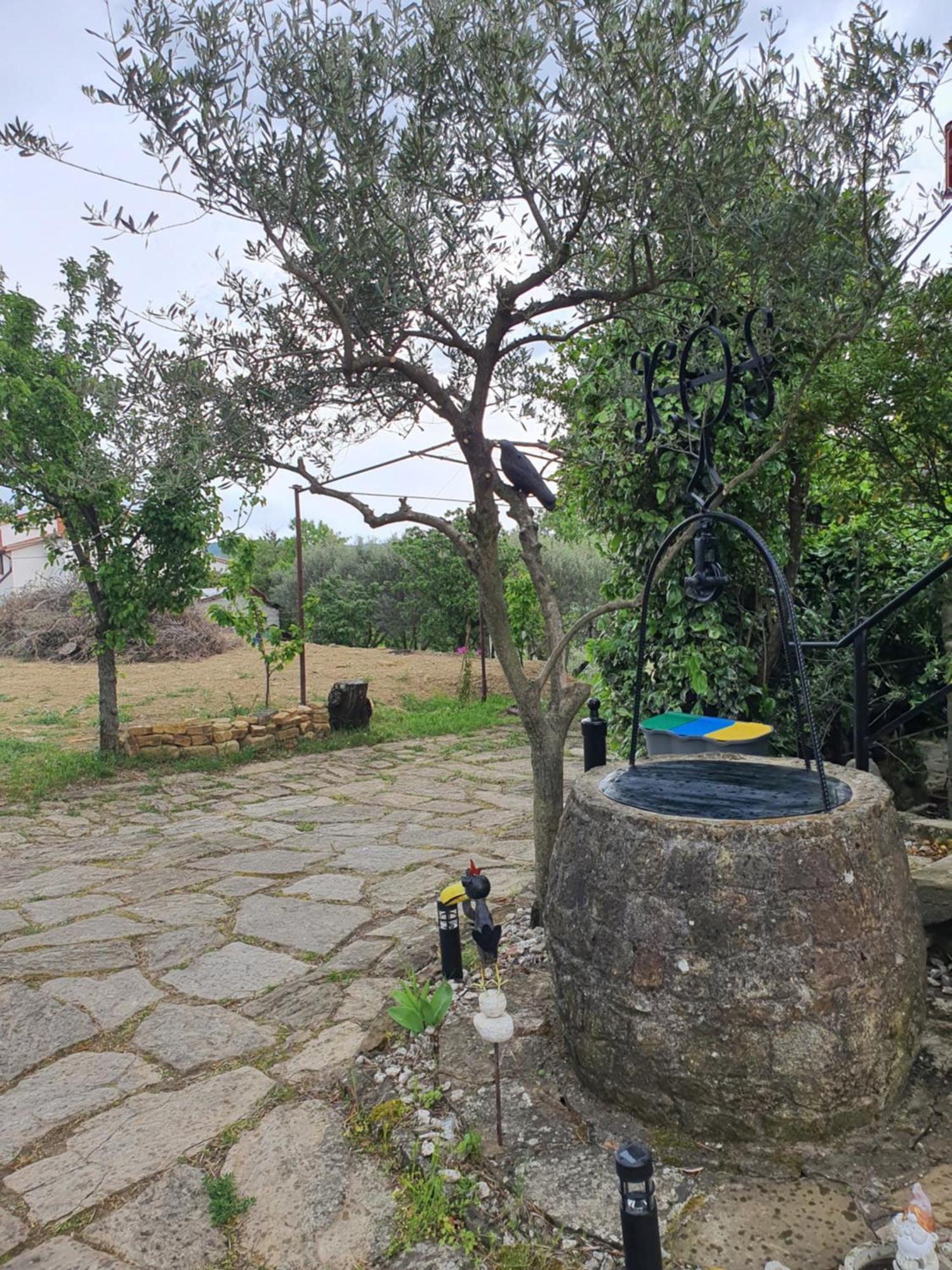 Apartma Vista Baredi Izola Exterior foto