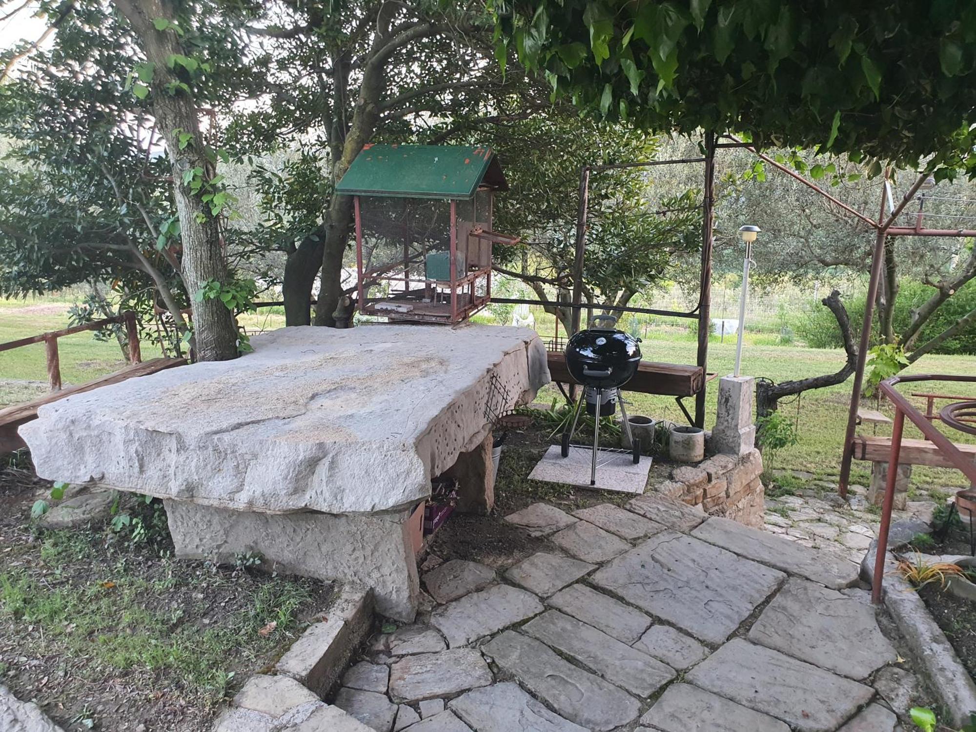 Apartma Vista Baredi Izola Exterior foto